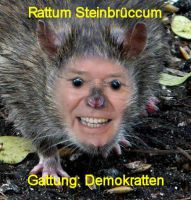 rattesteinbrueck